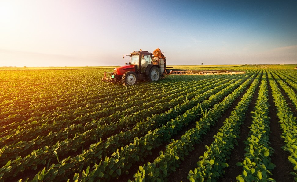 Organic Farming Innovations: The Impact of Biostimulants in Agriculture